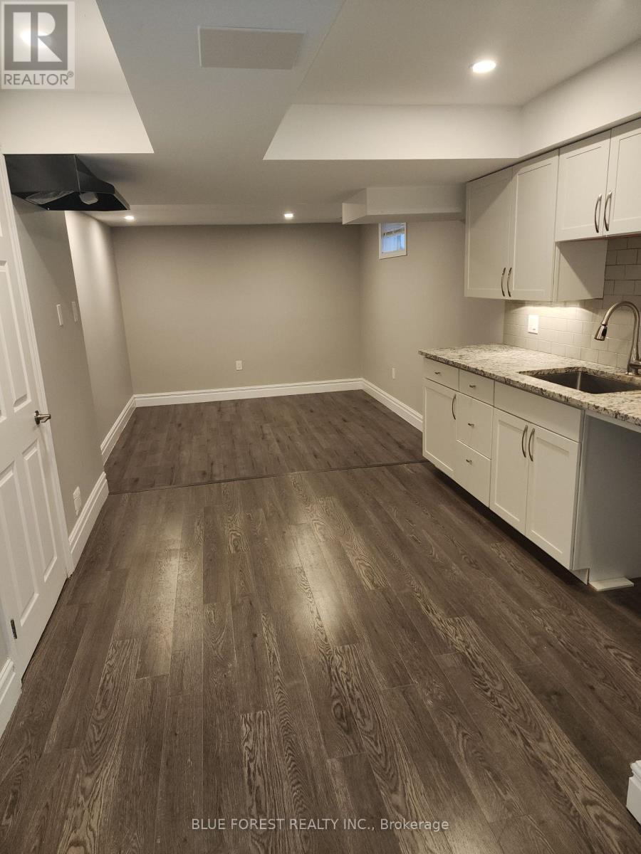 Lower Living/Kitchen - 3197 Meadowgate Boulevard, London South (South U), ON - Indoor