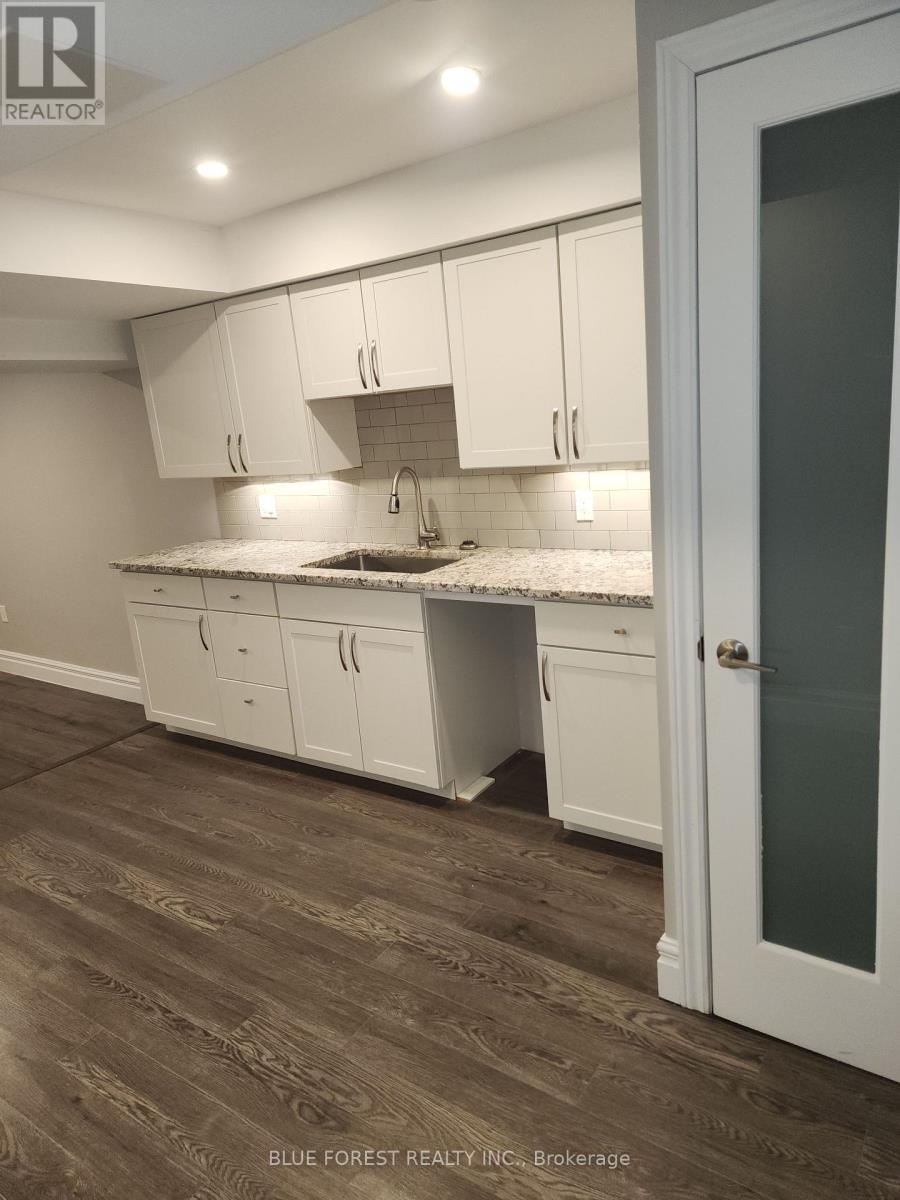Lower Kitchen - 3197 Meadowgate Boulevard, London South (South U), ON - Indoor Photo Showing Kitchen