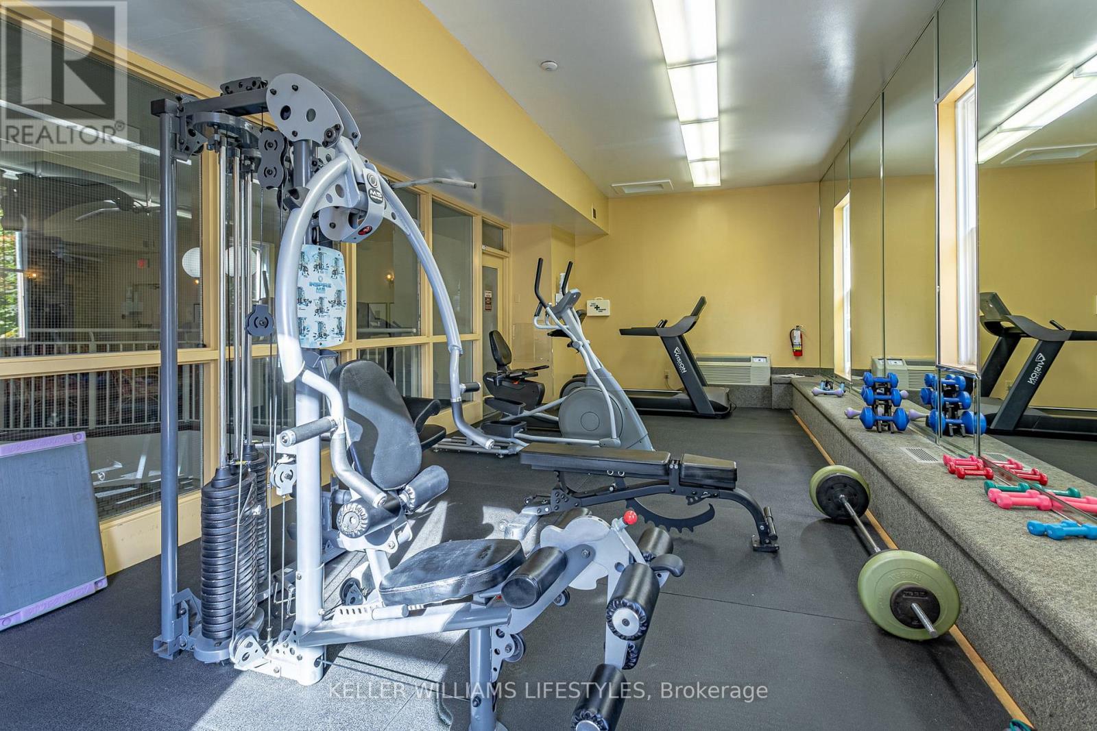 205 - 7 Picton Street, London East (East F), ON - Indoor Photo Showing Gym Room