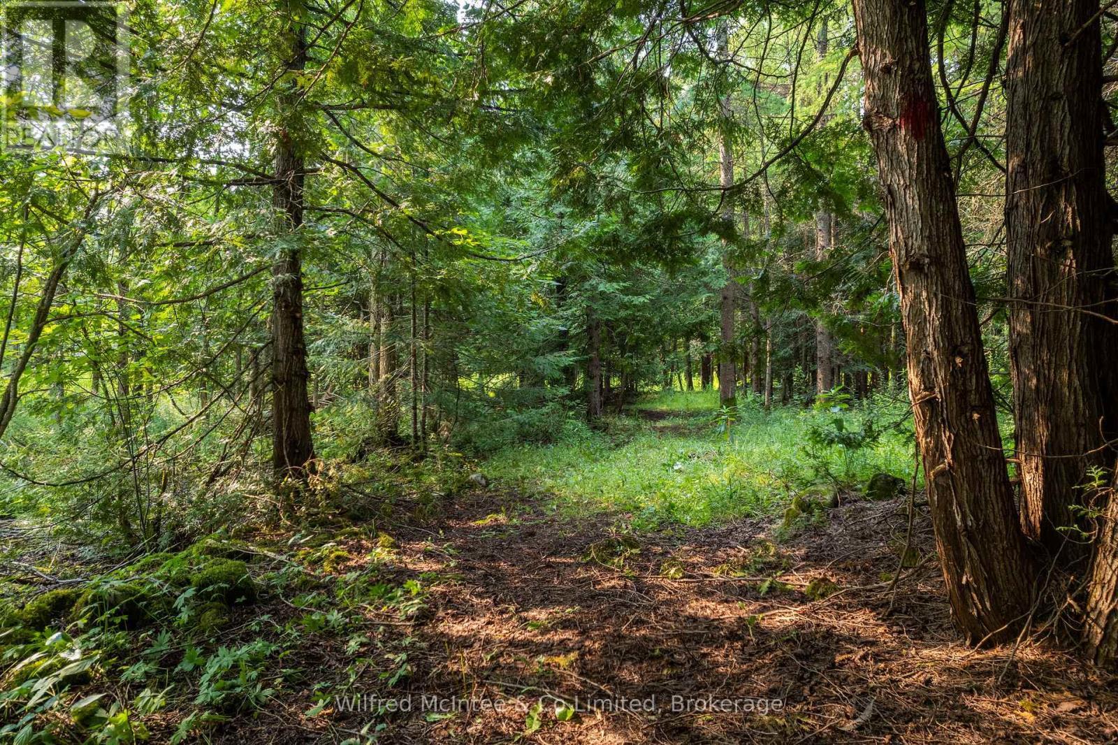 574461 Sideroad 40, West Grey, ON - Outdoor