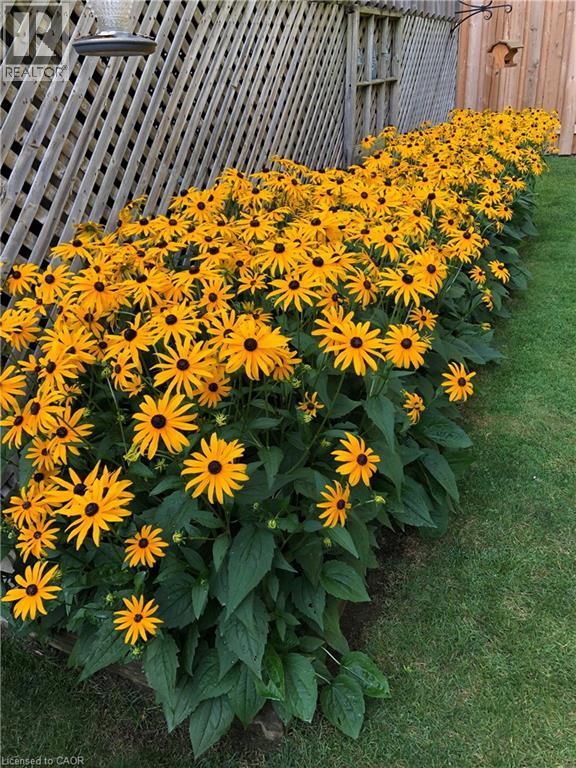 Exterior view - 18 Webster Way, Georgetown, ON - Outdoor