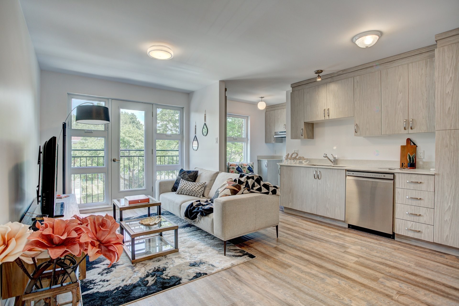 Living Room - 3950 Rue Lacordaire, Montréal (Mercier/Hochelaga-Maisonneuve), QC - Indoor