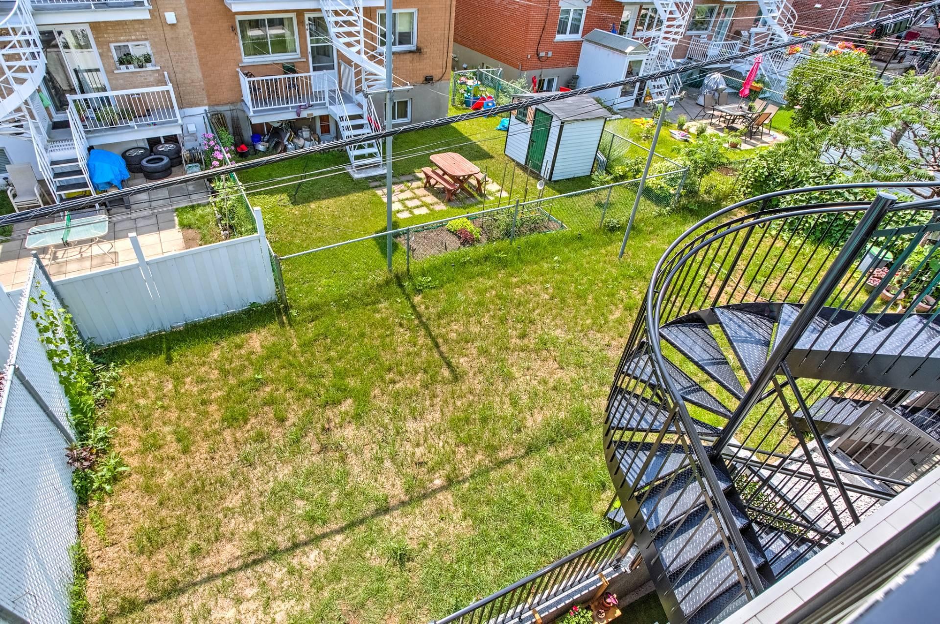 Garden - 3950 Rue Lacordaire, Montréal (Mercier/Hochelaga-Maisonneuve), QC - Outdoor