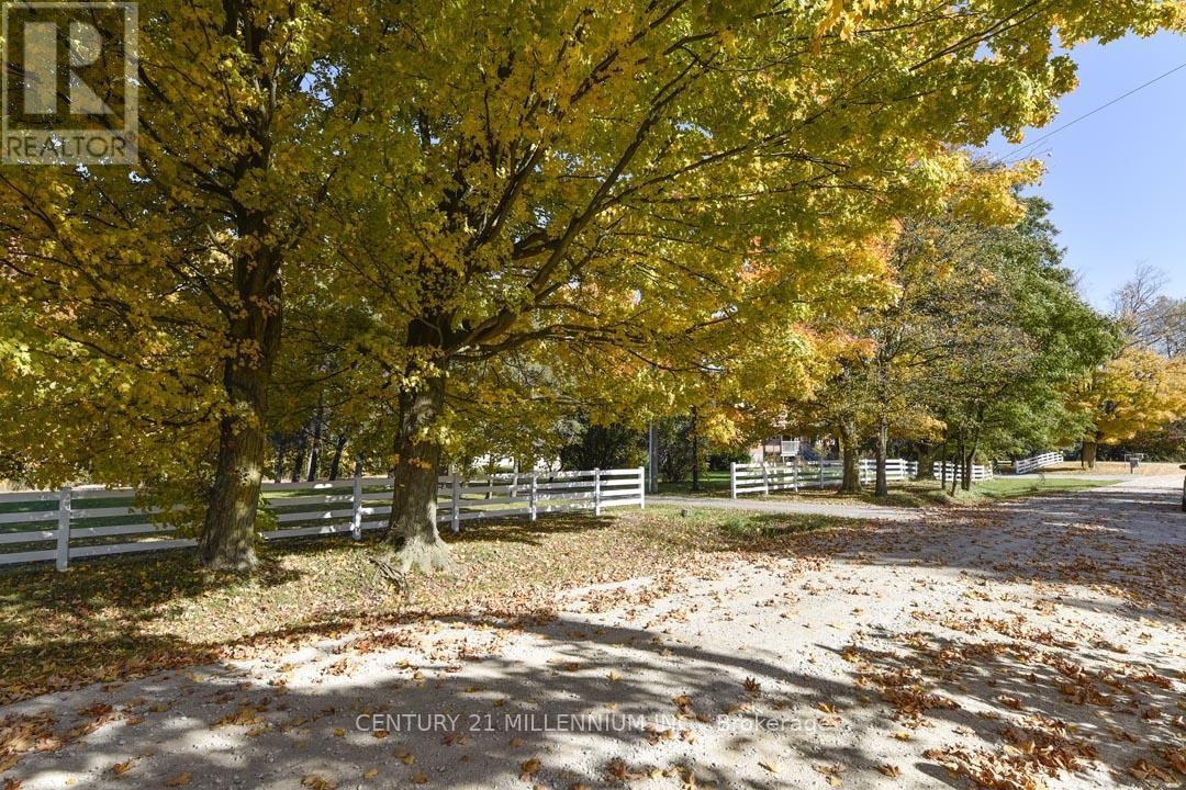 287199 10 Sideroad, Mono, ON - Outdoor With View