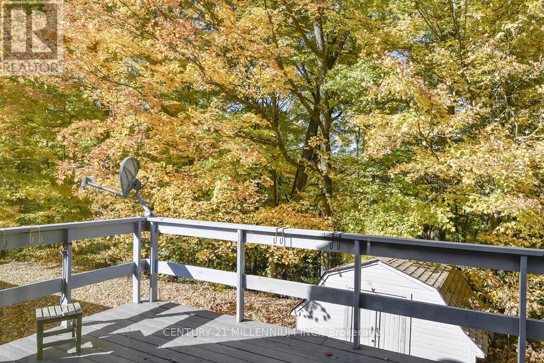 287199 10 Sideroad, Mono, ON - Outdoor