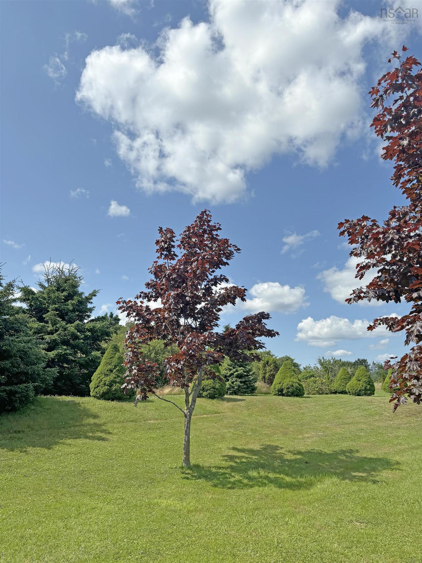 36 Eagle Head Wharf Road, Eagle Head, NS