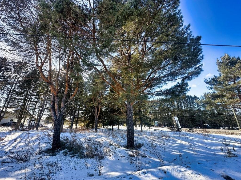 2085 15Th Side Road, Thunder Bay, ON