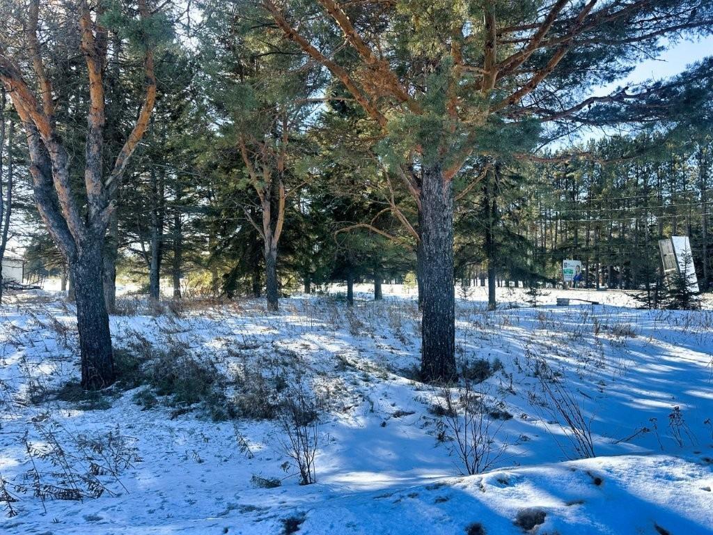 2085 15Th Side Road, Thunder Bay, ON