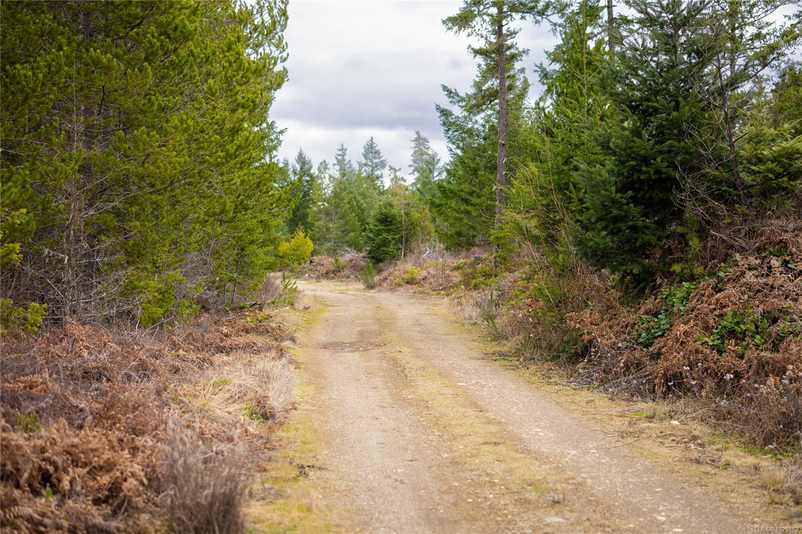 Lot 8 Flail Rd, Qualicum Beach, BC