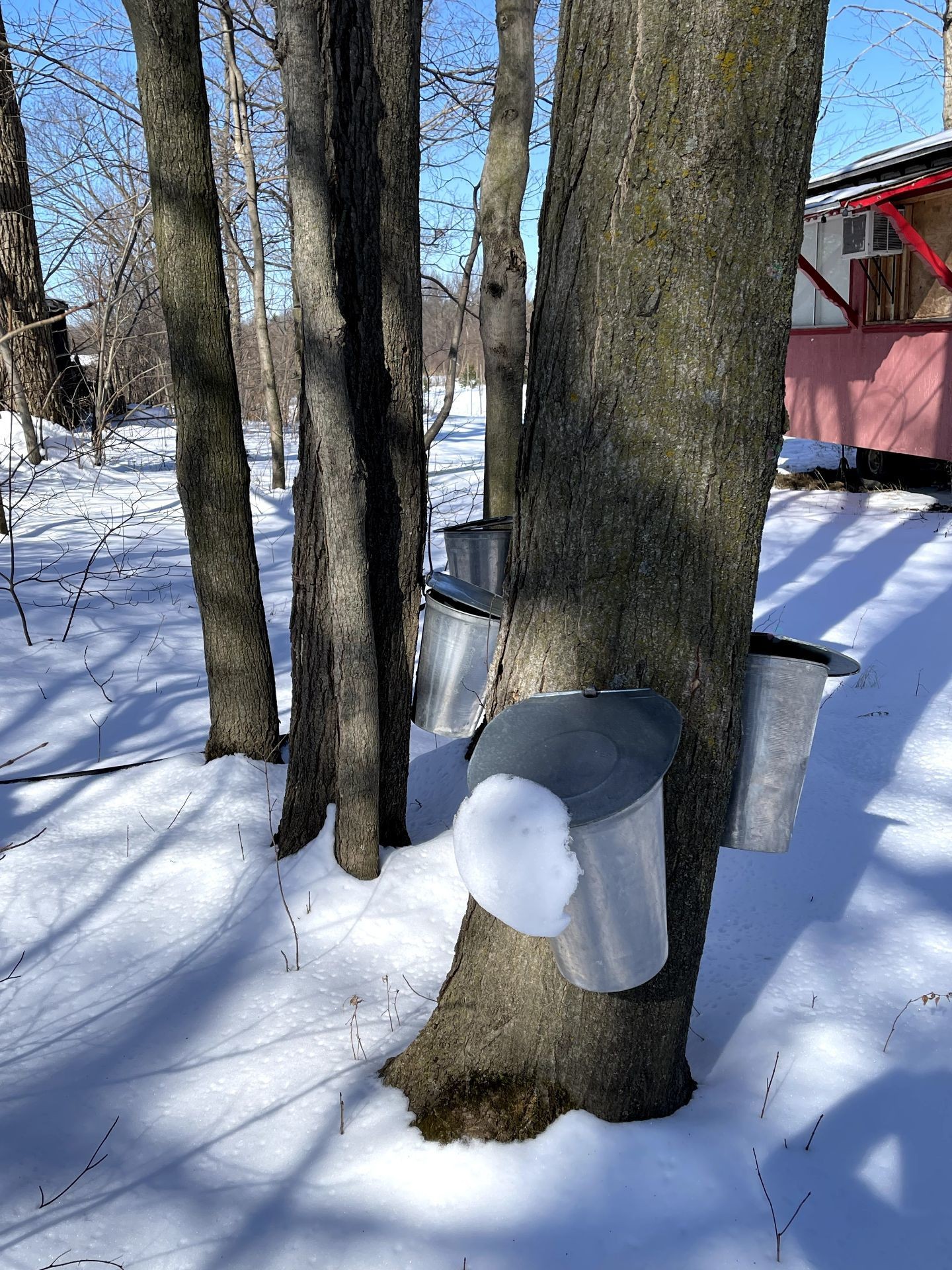 Maple grove - 203Z Route 221 S., Lacolle, QC