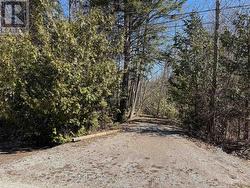 28 GEORGE STREET Bluewater (Bayfield), ON N0M 1G0