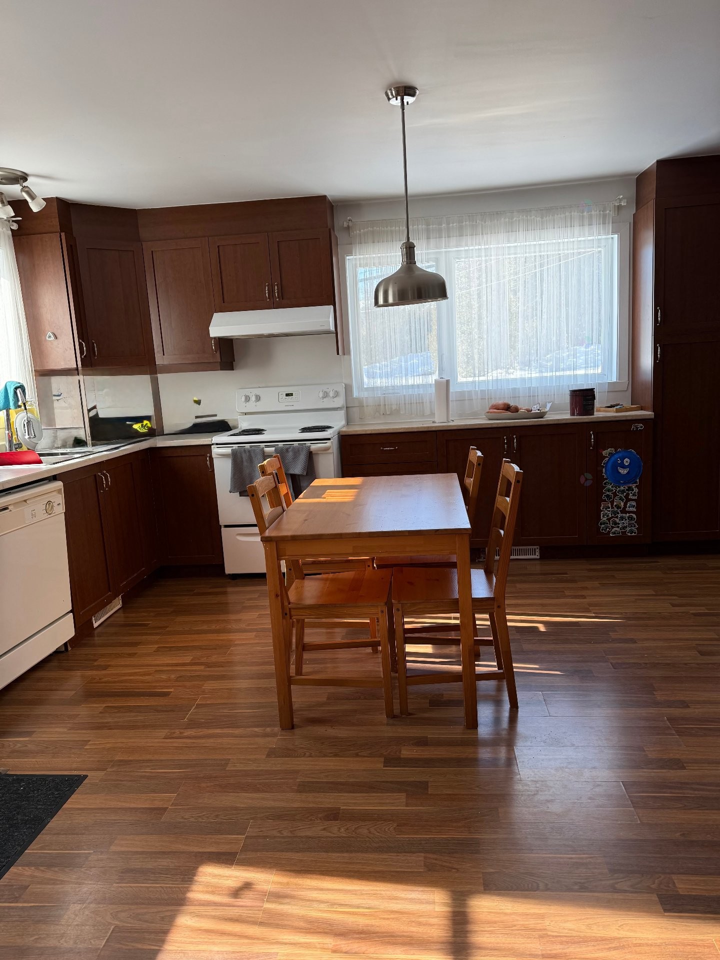 Cuisine - 222 Ch. Masson, Sainte-Marguerite-Du-Lac-Masson, QC - Indoor Photo Showing Kitchen With Double Sink