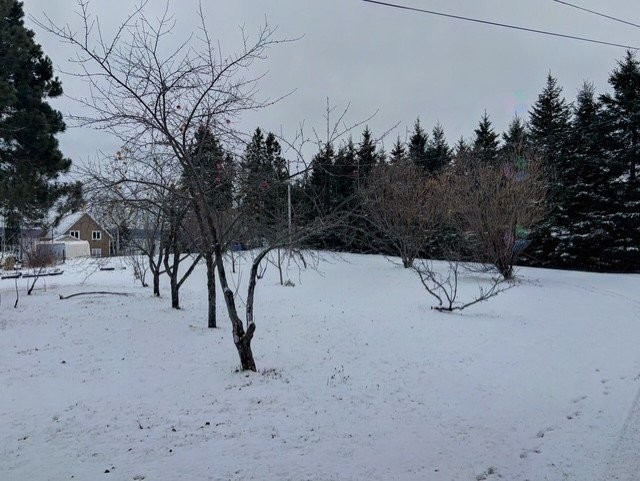 Terre/Terrain - 4 Ch. Glenn S., Escuminac, QC - Outdoor With View