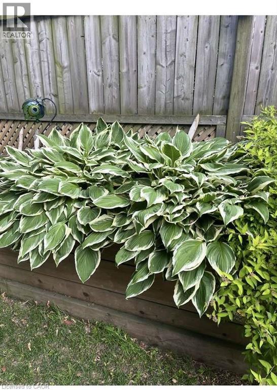 735 Beach Boulevard, Hamilton, ON - Outdoor