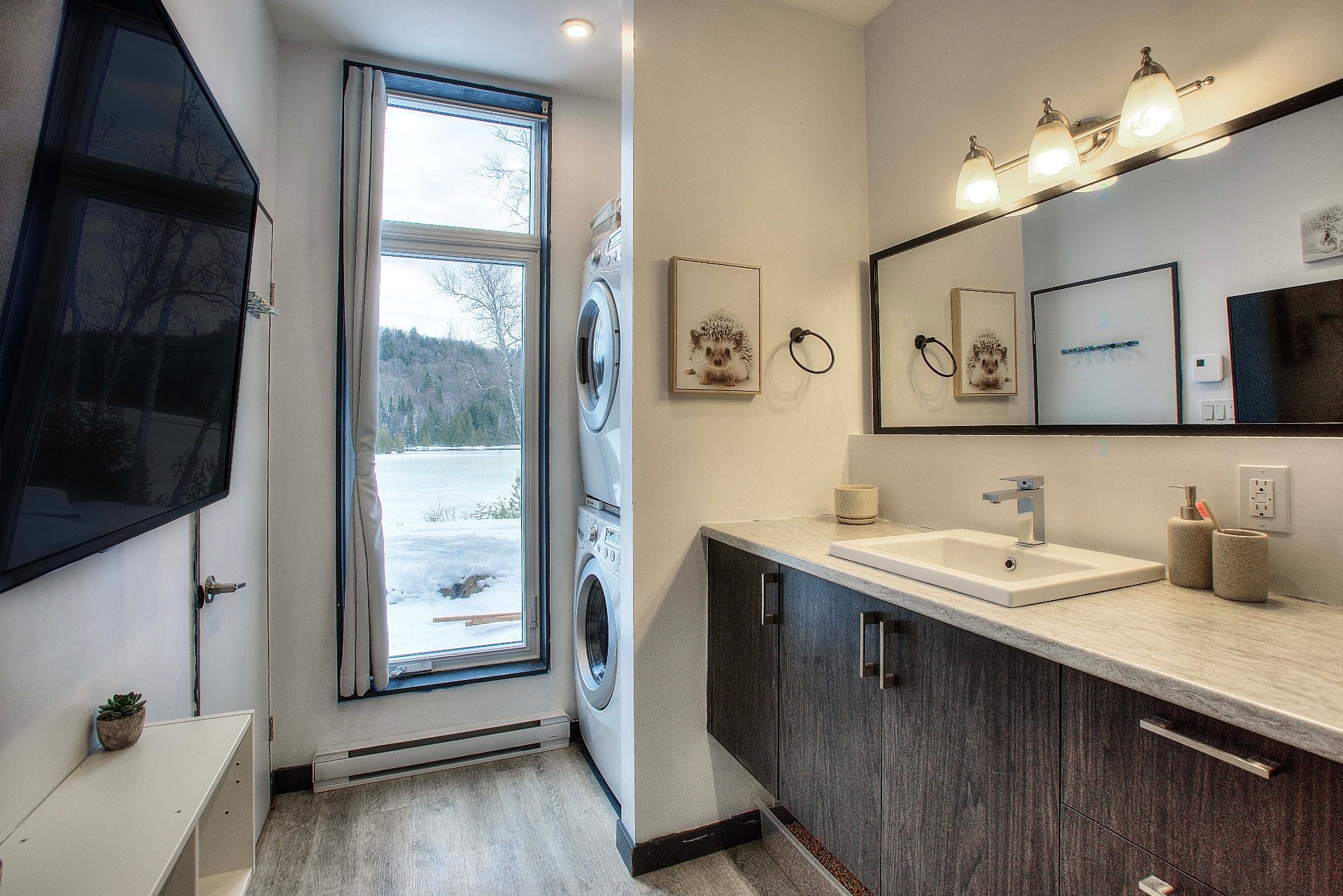 Bathroom - 103 Ch. Baumann, Lac-Saguay, QC - Indoor Photo Showing Bathroom
