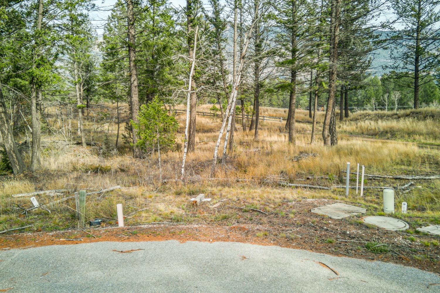 Pedley Heights Drive, Windermere, BC - Outdoor With View
