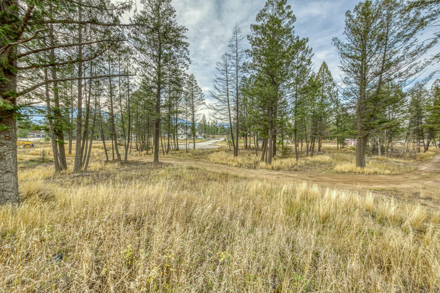 Pedley Heights Drive, Windermere, BC - Outdoor With View