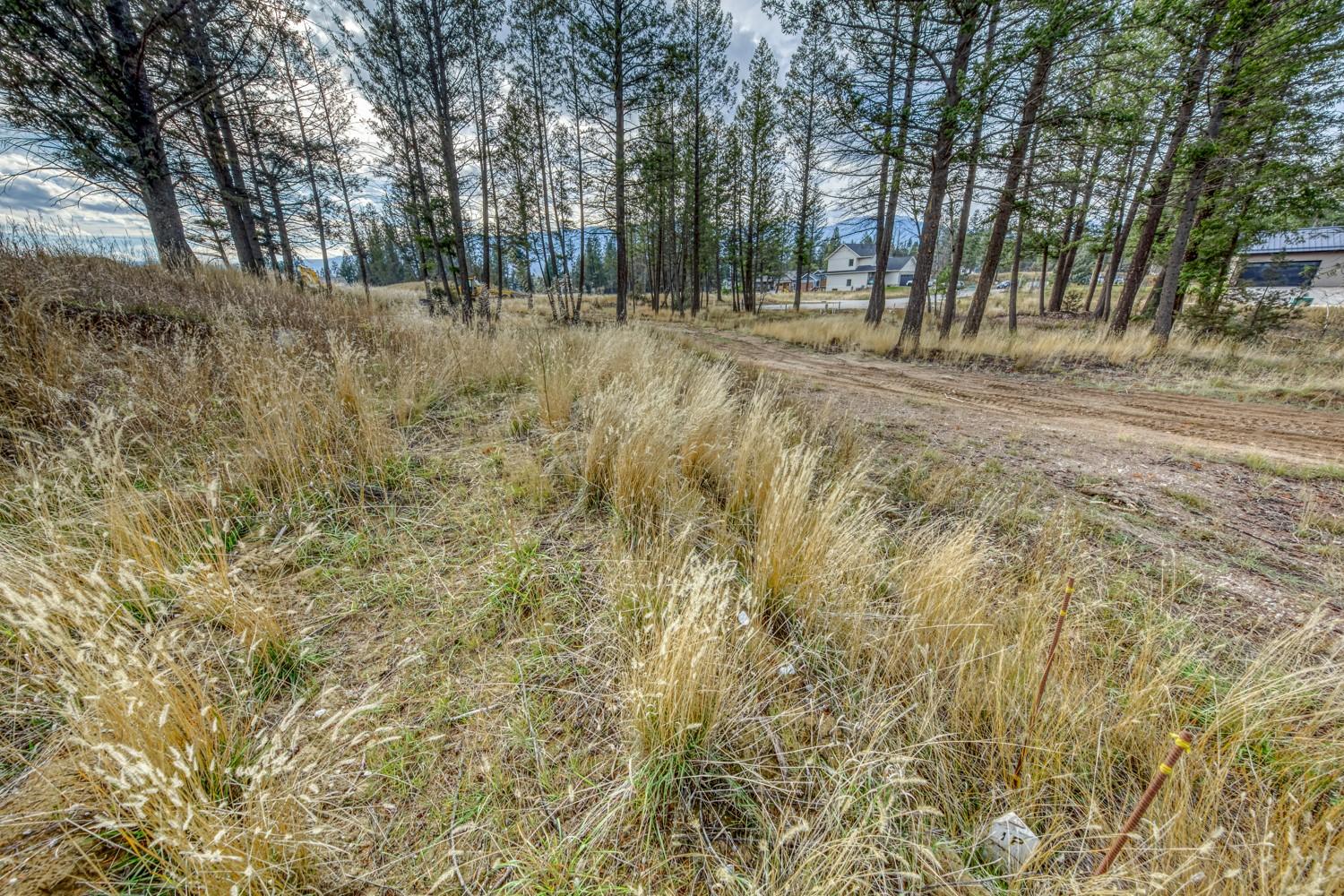 Pedley Heights Drive, Windermere, BC - Outdoor With View
