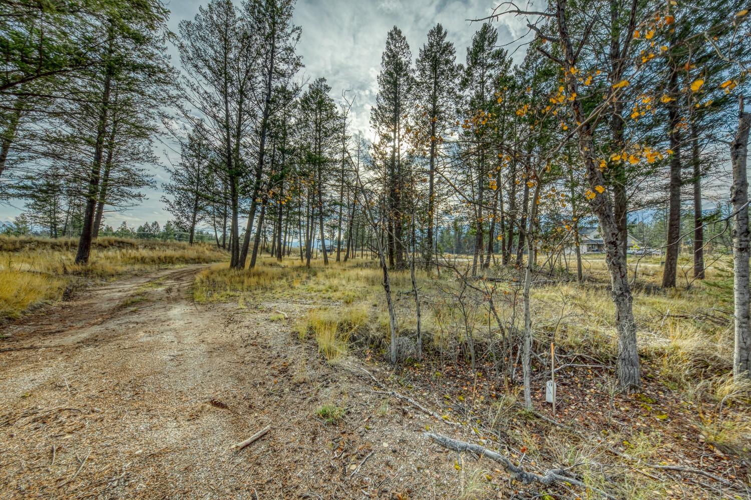 Pedley Heights Drive, Windermere, BC - Outdoor With View