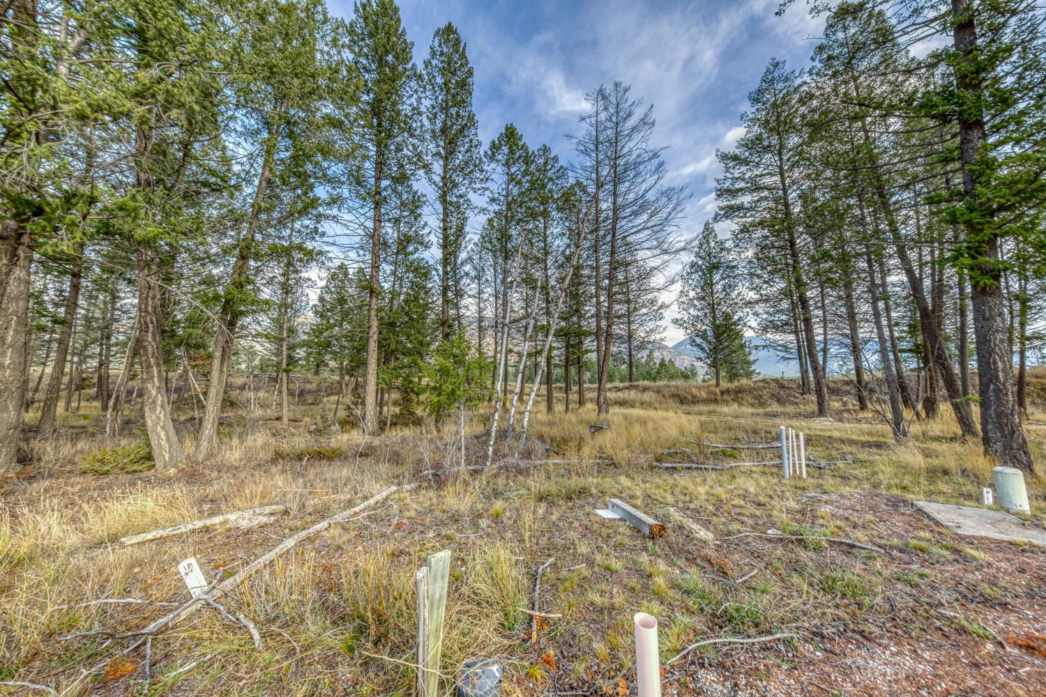 Pedley Heights Drive, Windermere, BC - Outdoor With View
