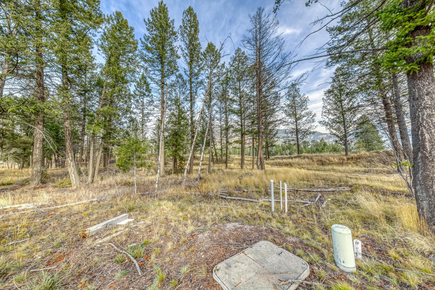 Pedley Heights Drive, Windermere, BC - Outdoor With View