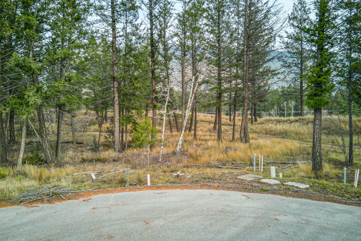 Pedley Heights Drive, Windermere, BC - Outdoor With View