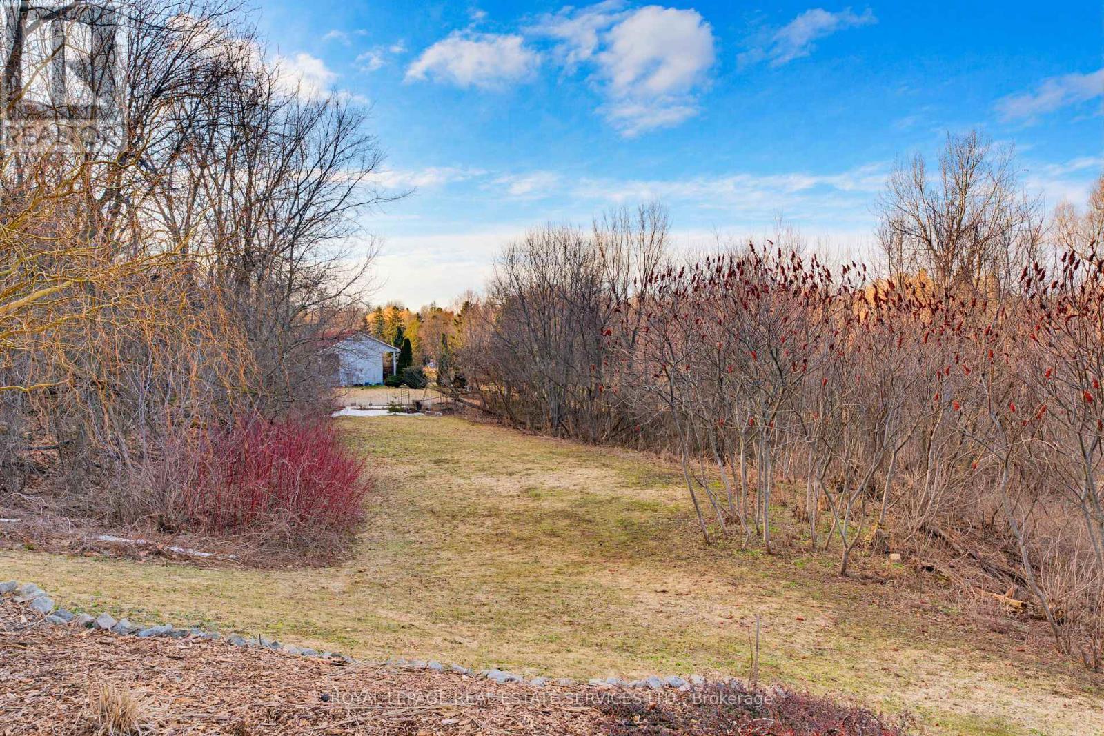 View from the bottom of the ravine - 18 Cherry Street, Halton Hills, ON - Outdoor With View