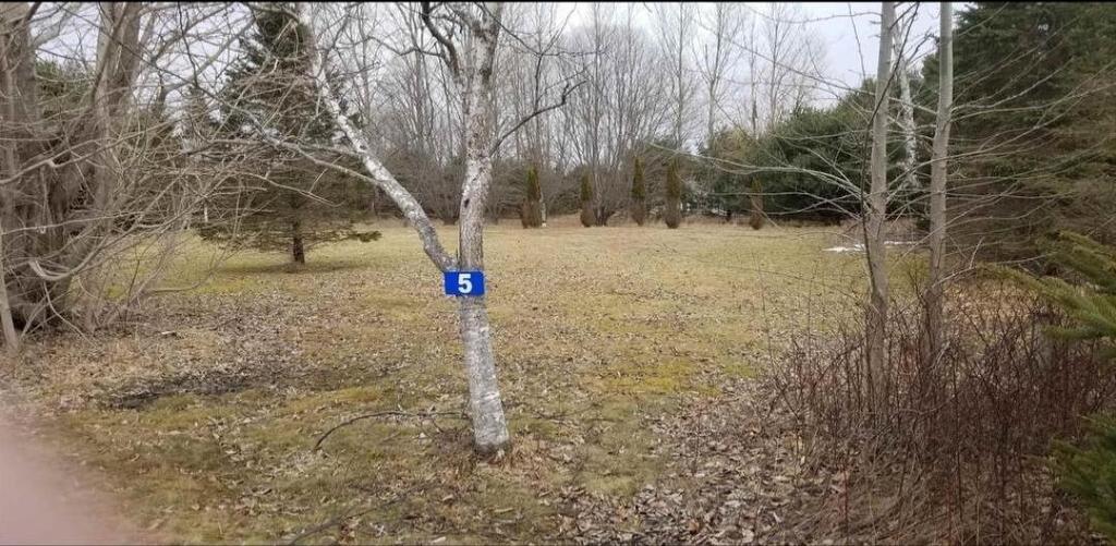 5 White Point Number 2 Road, White Point, NS