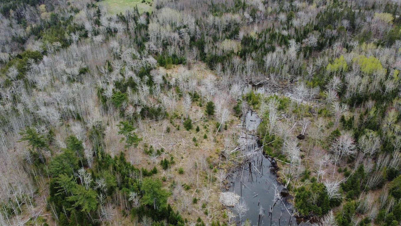 4 No Highway, Broadway, NS