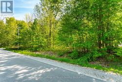 Street View -