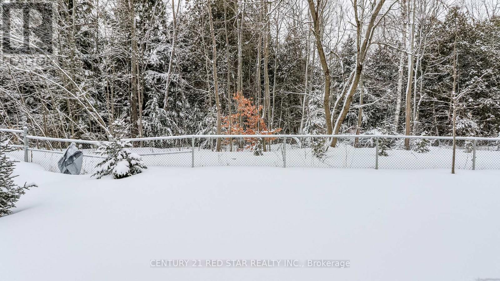 32 Milson Crescent, Essa, ON - Other