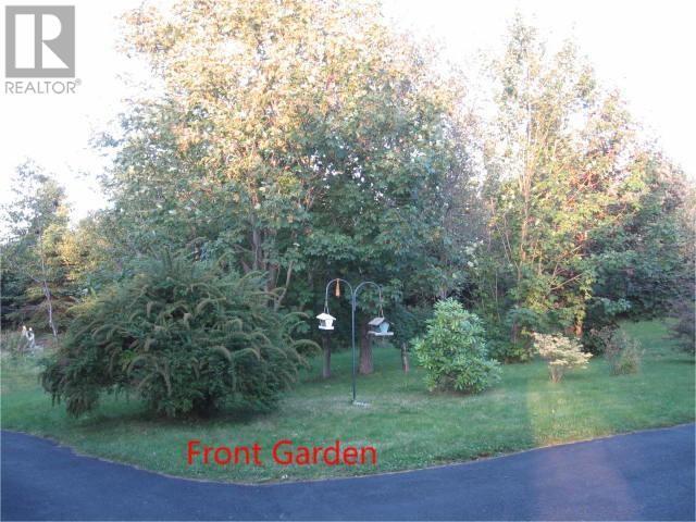 319 Main Road, Come By Chance, NL -