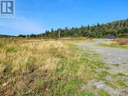 227 Maddox Cove Road St. John's, NL A1B 2N5