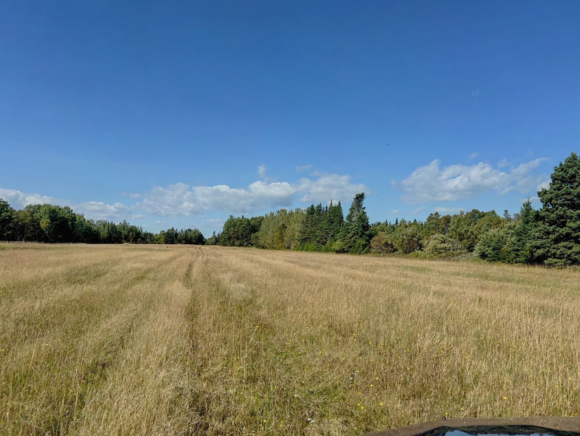 Lot - Route 132, Shigawake, QC