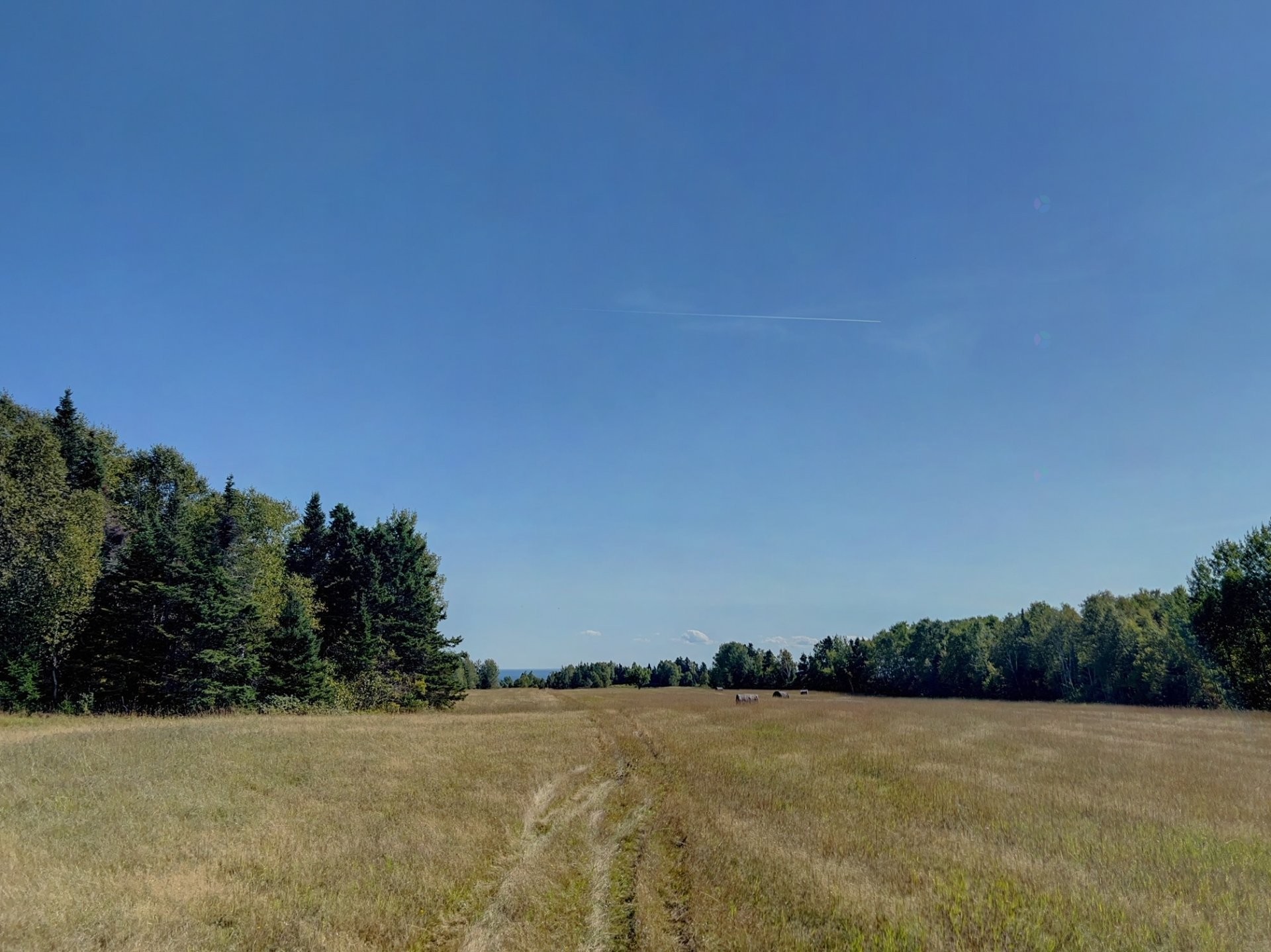 Lot - Route 132, Shigawake, QC