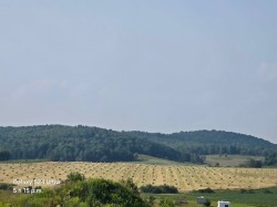 Lot -
