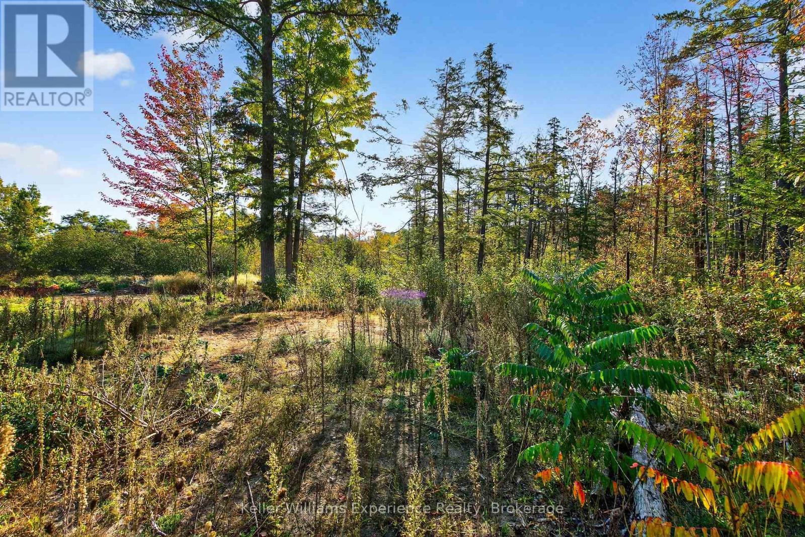 556 Champlain Road, Tiny, ON - Outdoor With View