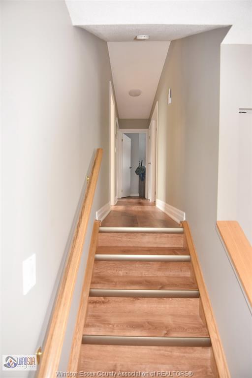 5145 Colbourne, Windsor, ON