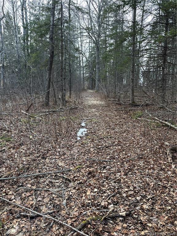 Lot 23-03 Chemin Du Lac, Memramcook East, NB