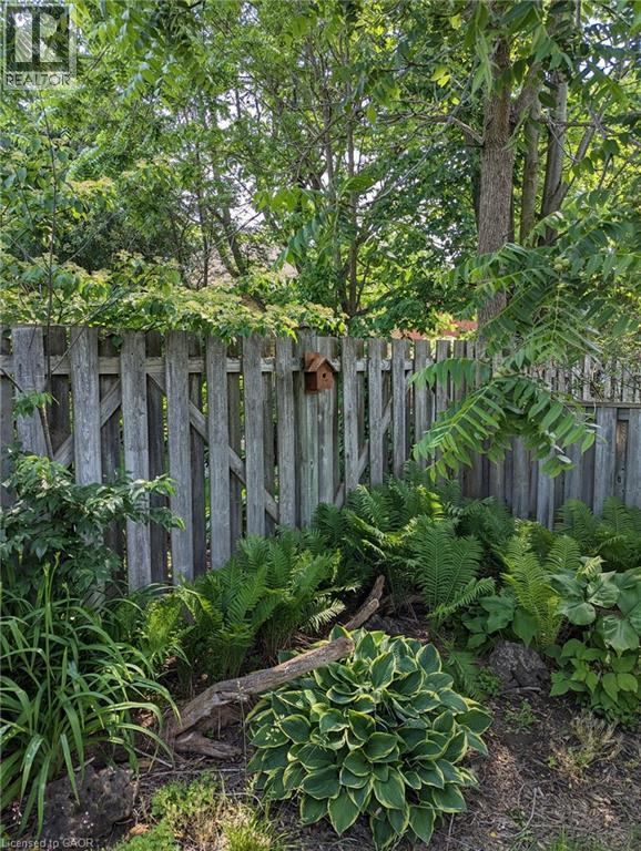 Summer fence line - 594 Hunters Place, Waterloo, ON - Outdoor