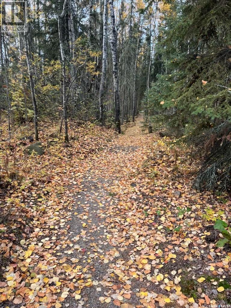 930 Sinotte Crescent, La Ronge, SK - Outdoor With View