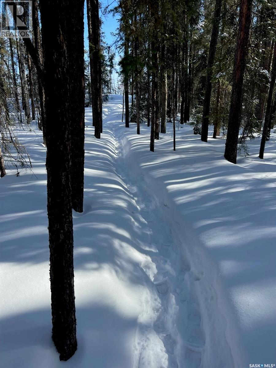 930 Sinotte Crescent, La Ronge, SK - Outdoor With View