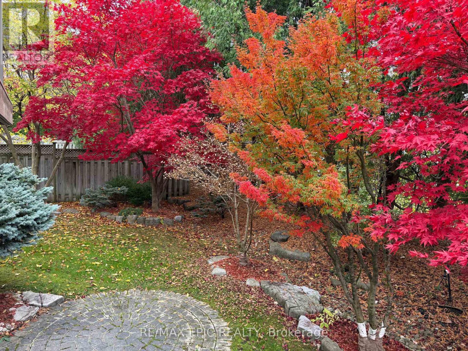 11 Palace Court, Richmond Hill, ON - Outdoor