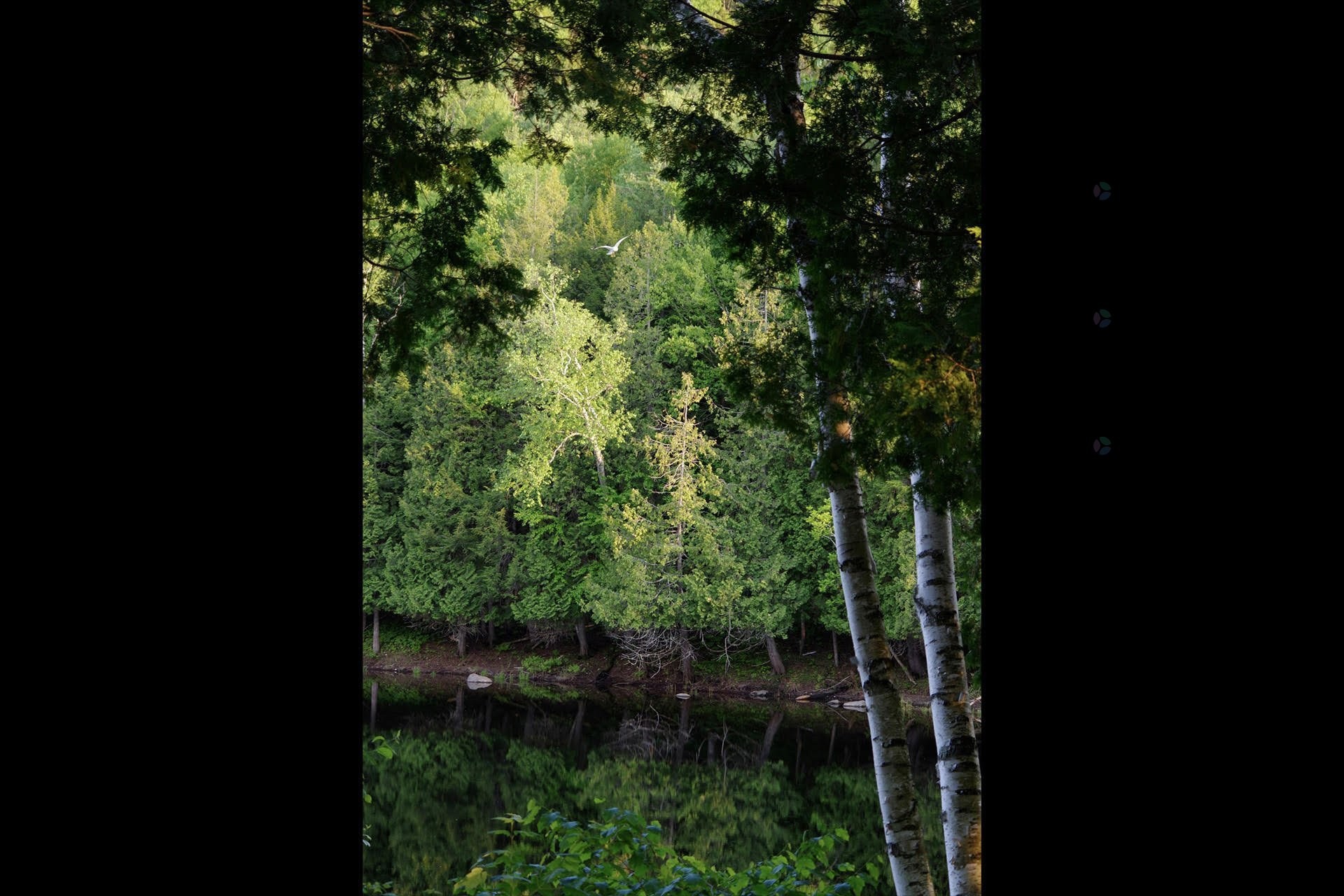 Vue sur l'eau - 218 Ch. Potvin, Duhamel, QC