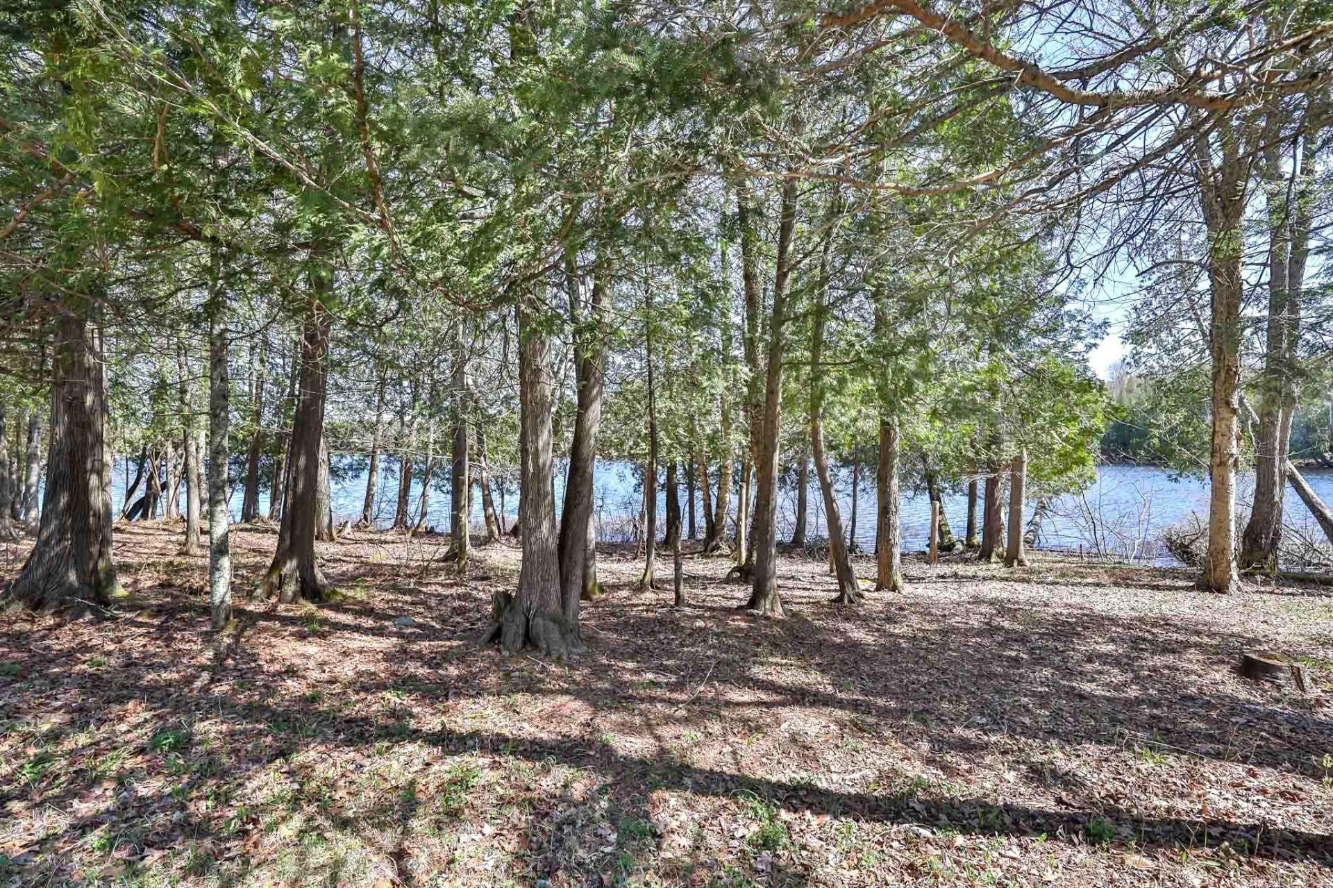 Extérieur - 218Z Ch. Potvin, Duhamel, QC - Outdoor With View