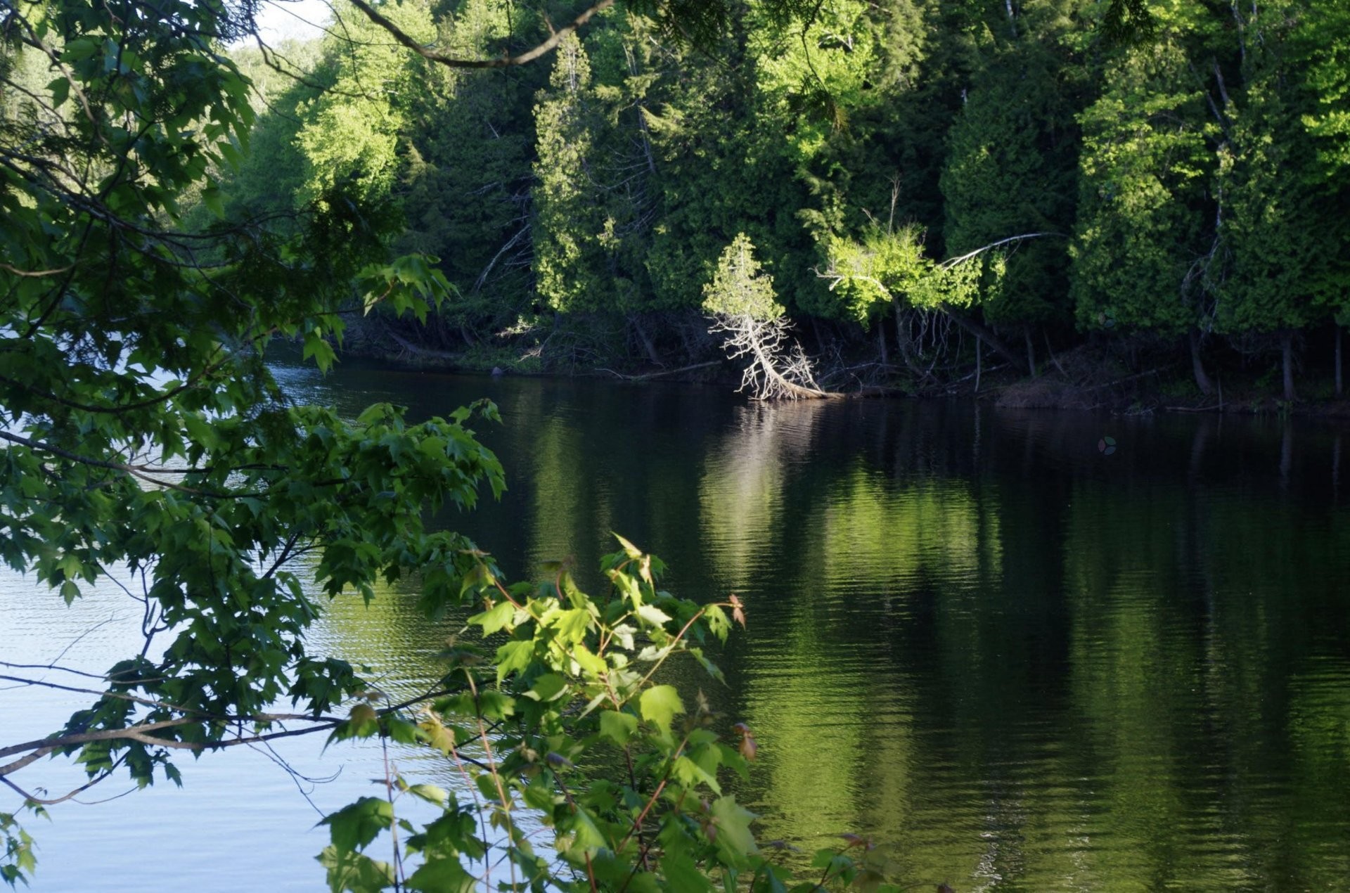 Bord de l'eau - 218Z Ch. Potvin, Duhamel, QC - Outdoor