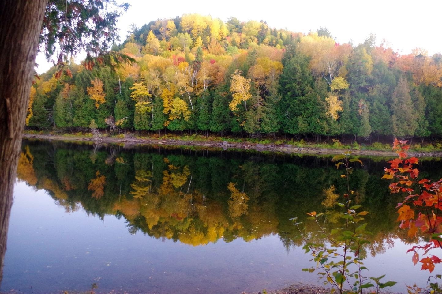 Bord de l'eau - 218Z Ch. Potvin, Duhamel, QC - Outdoor With Body Of Water With View