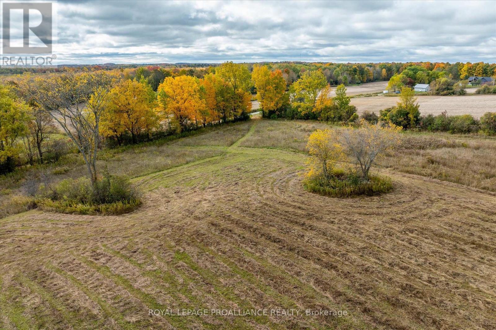 Lot Centre Line, Selwyn, ON