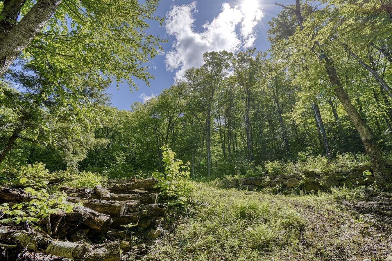 Autre - Lac-Des-Écorces, Barkmere, QC