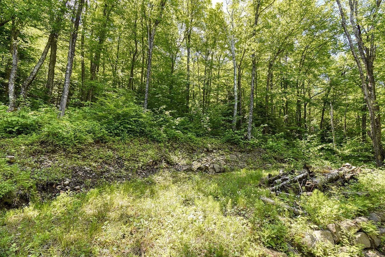 Autre - Lac-Des-Écorces, Barkmere, QC